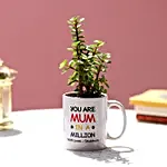 Jade Plant In Personalised Mug For Mother's Day