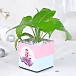 Personalised Money Plant Celebration