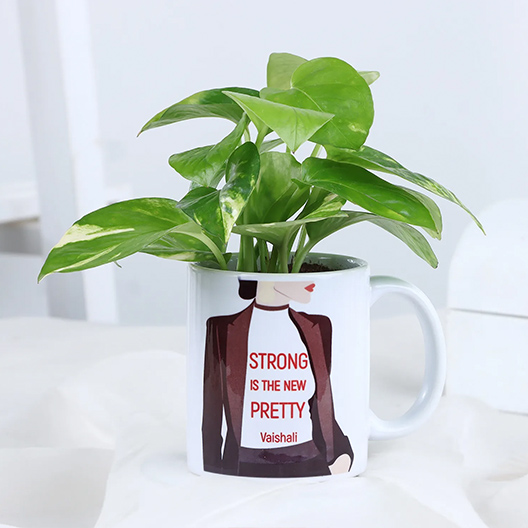 Plants