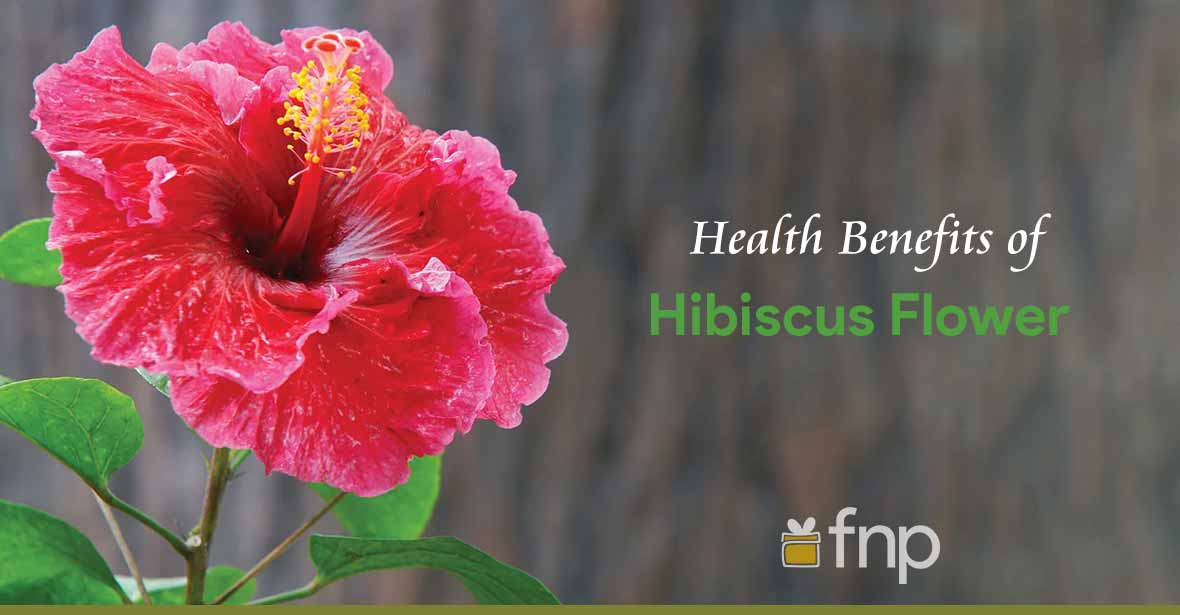 What are the Health & Nutritional Benefits of Hibiscus Flower? - FNP