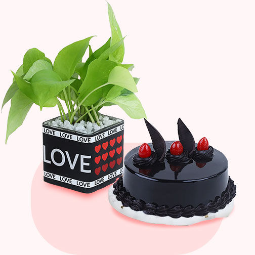 Cakes with Plants