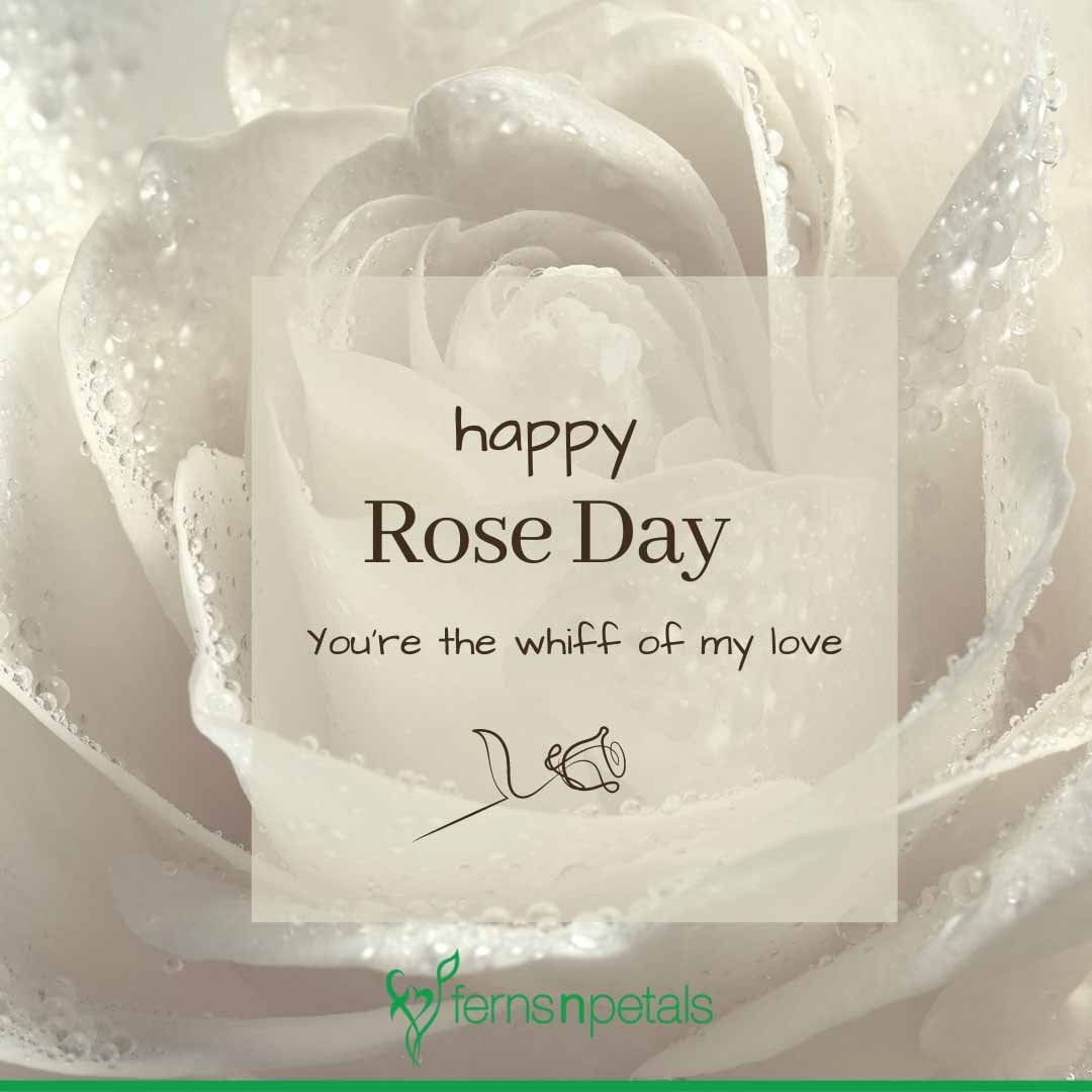 Happy Rose Day Quotes, Wishes & Images For Love | Ferns N Petals
