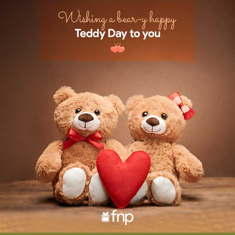 Happy Teddy Day Quotes, Wishes & Images For Love | FNP