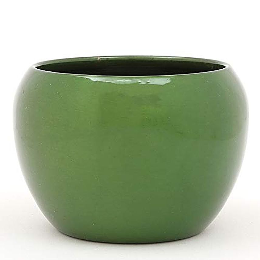 Dark Green Metal Planter 3inch