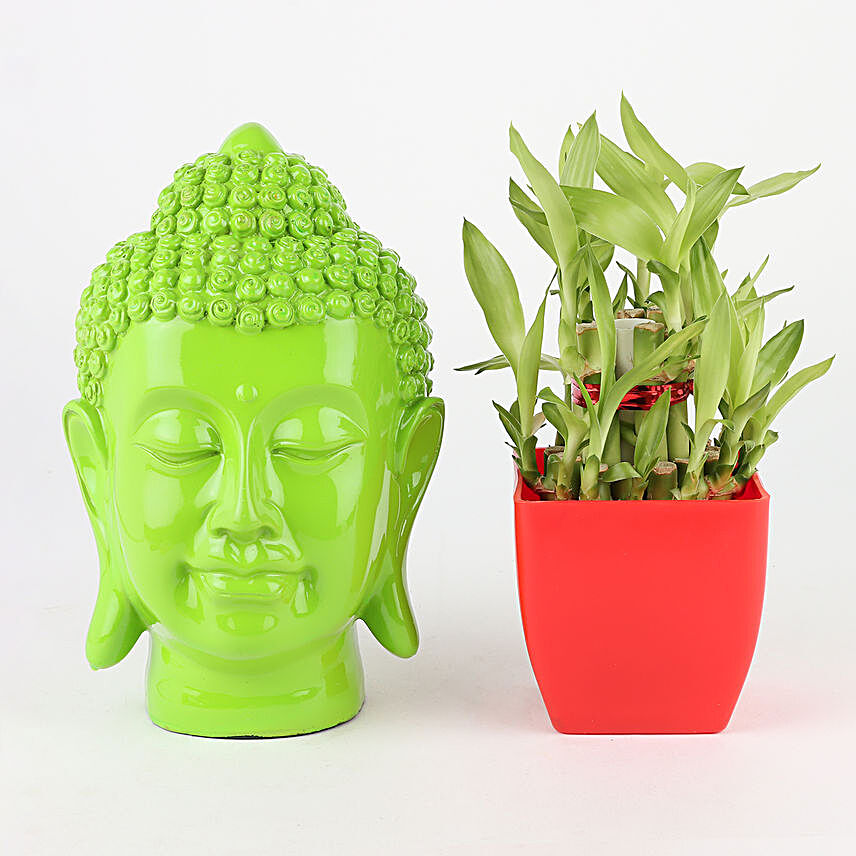 bamboo plant in red pot n green buddha head idol