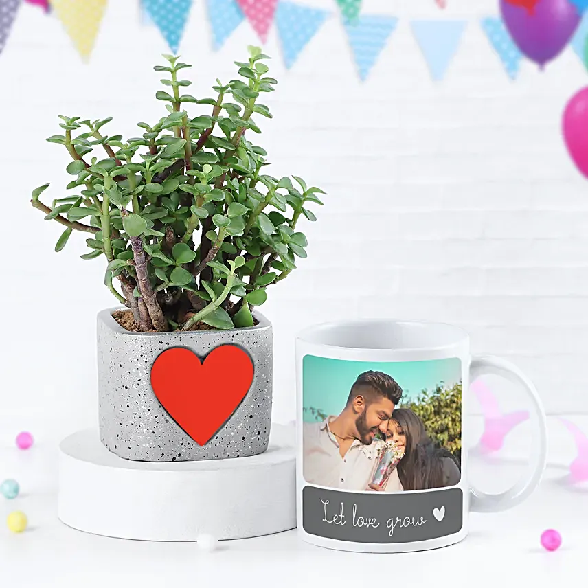 Jade Plant & Coffee Mug Gift Combo