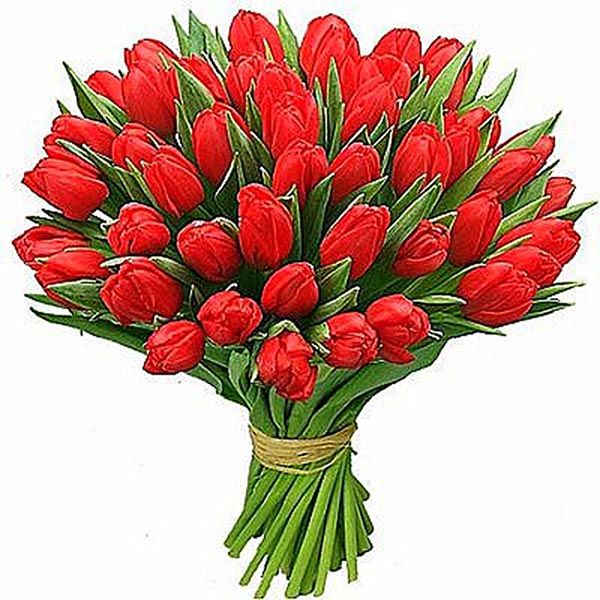 Red Tulip Delight russia | Gift Red Tulip Delight- Ferns N Petals