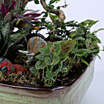 Wild Animals & Dense Forest Theme Dish Garden