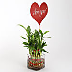 Two Layer Lucky Bamboo With I Love You Tag