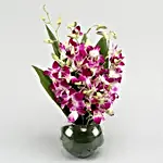 Gorgeous Purple Orchid Bunch