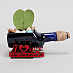 Hoya Plant In I Love You Antiquity Bottle Planter