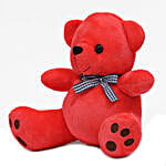 Cute & Cuddly Red Poppy Teddy Bear