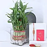 Sneh Meenakari Rakhi and Two Layer Lucky Bamboo Plant