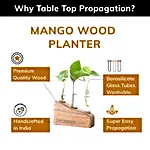 Lazy Gardener Mango Wood Planter