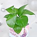 Personalised Money Plant Celebration