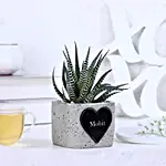 Haworthia Plant Personalised Heart Pot