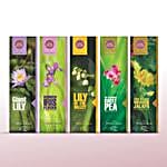 Wild Flower Valley Premium Incense Sticks Box