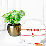 Rakhi Set & Syngonium Plant Blessings