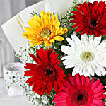 Mixed Brilliance Gerbera Flower Bouquet