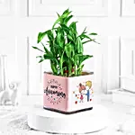 Two Layer Bamboo Plant Anniversary Greetings