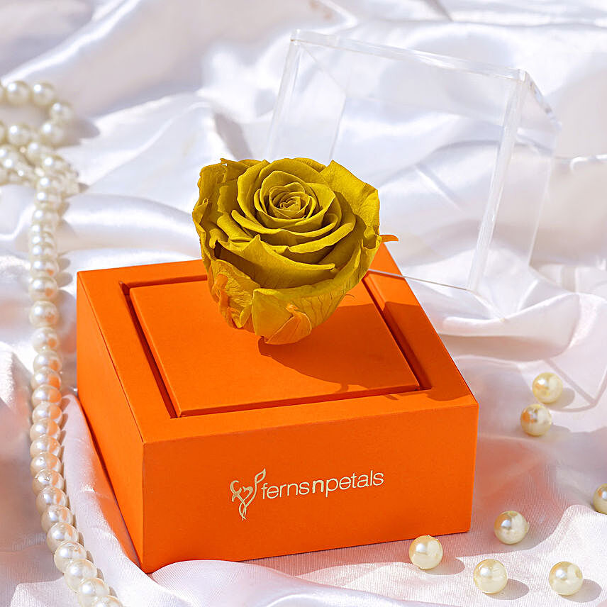 Olive Forever Rose In Orange Box