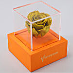 Olive Forever Rose In Orange Box