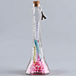 Eiffel Tower Message Bottle