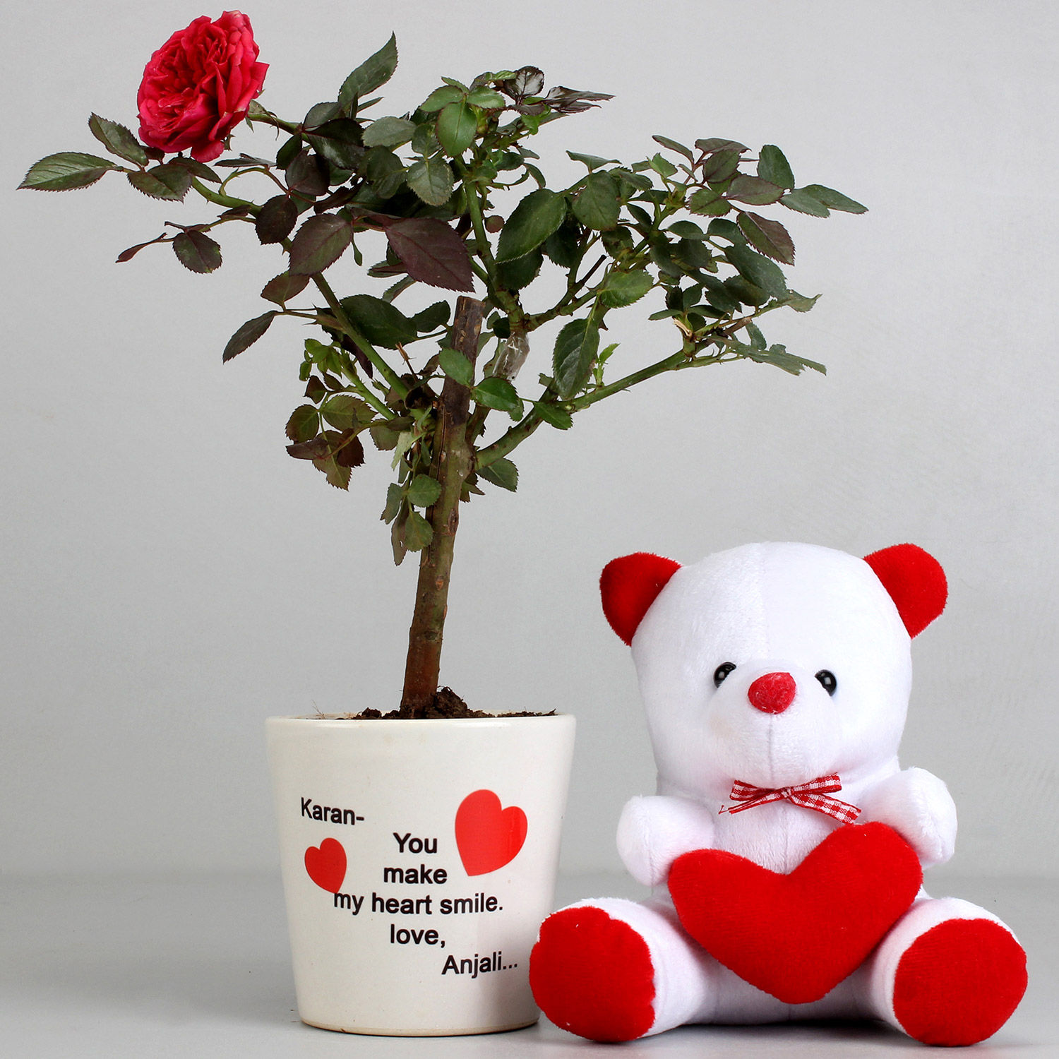 Buy/Send Rose Plant in Personalised Love Pot with Teddy bear Online- FNP